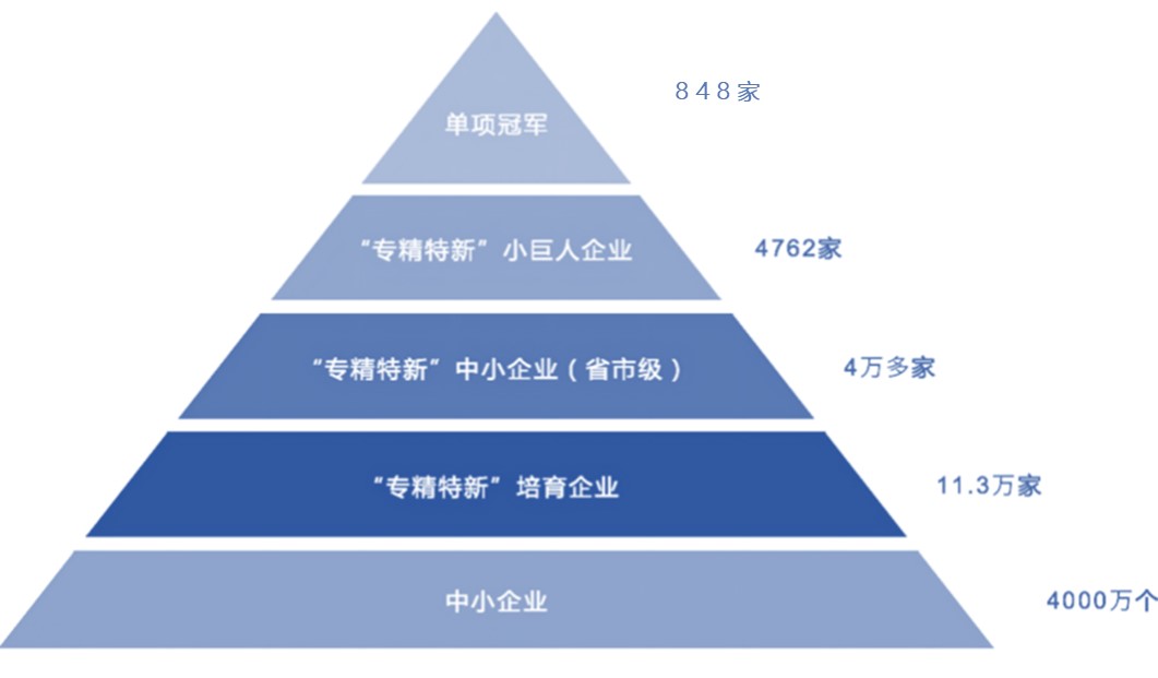 1656583559888866.jpg